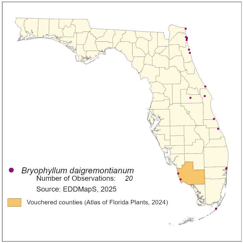 Map of species distribution
